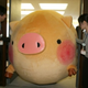 Image for article titled When Japanese Mascots Get Stuck